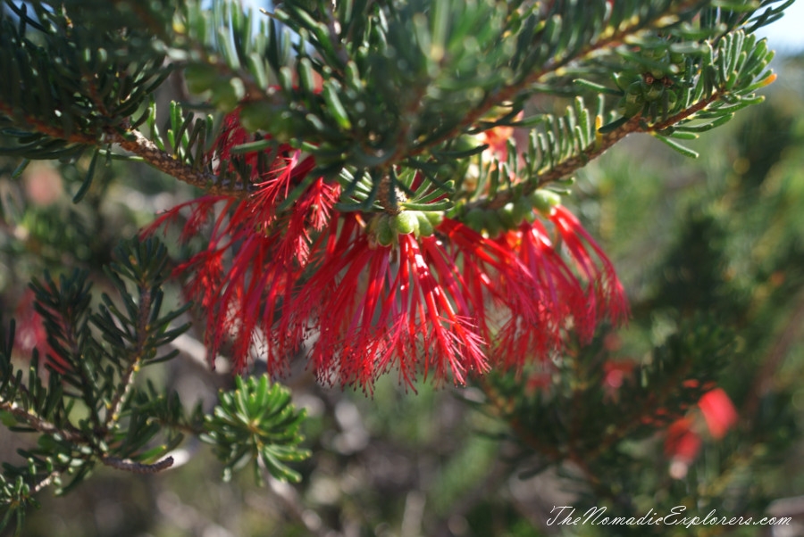 Australia, Western Australia, South West, Western Australia Trip. Day 3-4. Cape Le Grand National Park, , 