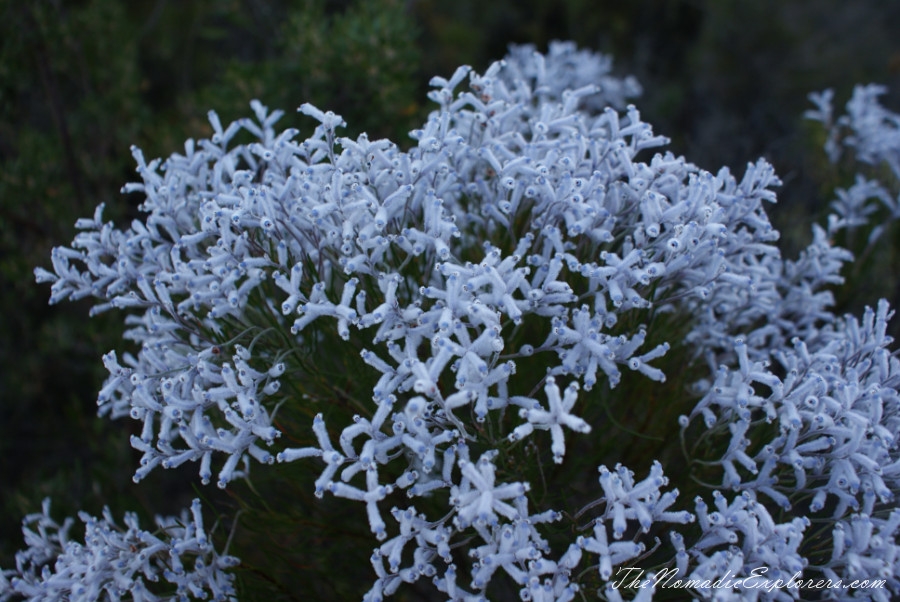 Australia, Western Australia, South West, Western Australia Trip. Day 3-4. Cape Le Grand National Park, , 