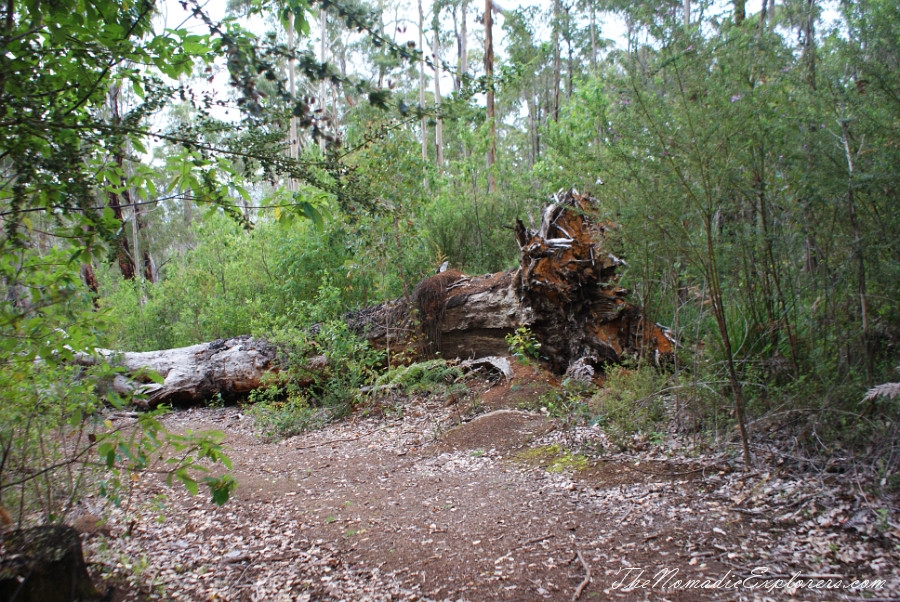 Australia, Western Australia, South West, Western Australia Trip. Day 5. Porongurup National Park - Granite Skywalk, , 