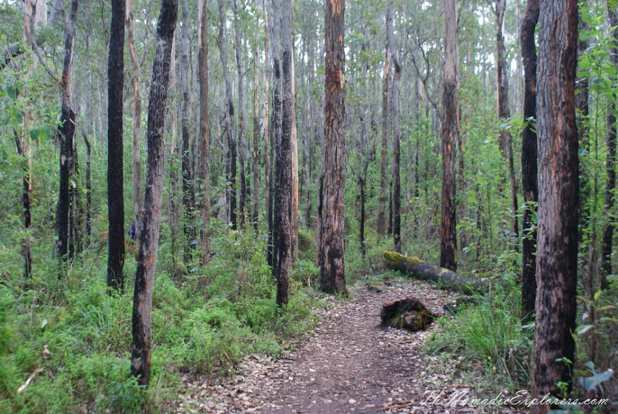 Australia, Western Australia, South West, Western Australia Trip. Day 5. Porongurup National Park - Granite Skywalk, , 