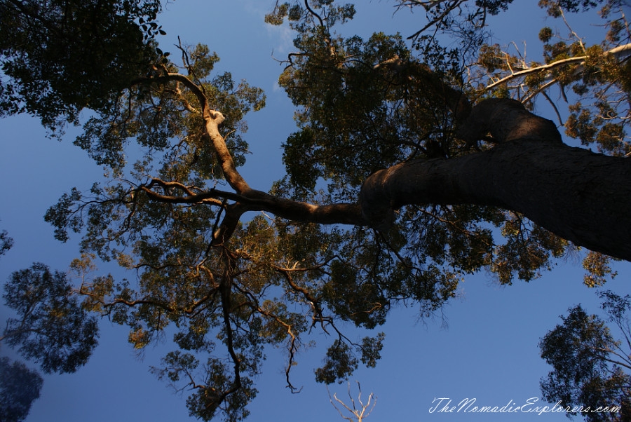 Australia, Western Australia, South West, Western Australia Trip. Day 5. Porongurup National Park - Granite Skywalk, , 