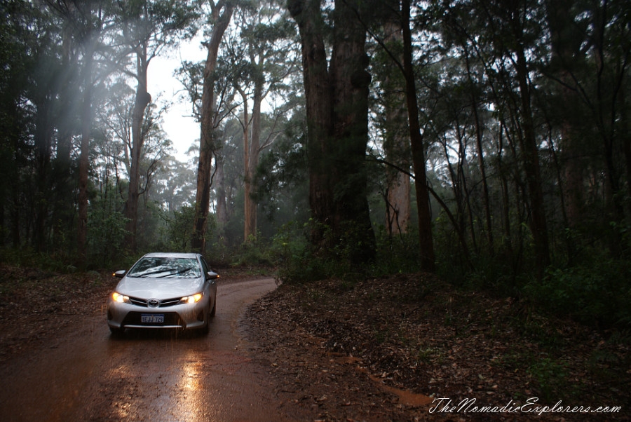 Australia, Western Australia, South West, Western Australia Trip. Day 7. Tall Timber Country / The Karri Forests Region, , 