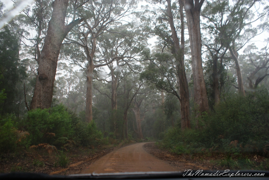 Australia, Western Australia, South West, Western Australia Trip. Day 7. Tall Timber Country / The Karri Forests Region, , 