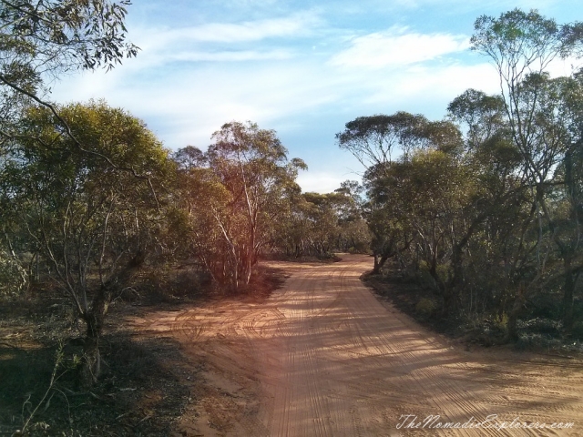 Australia, New South Wales, Country NSW, Balranald Area, A day in Mungo National Park, , 