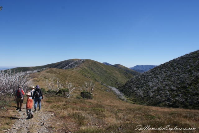 Australia, Victoria, Hight Country, The Australian Alps: Mt Feathertop via The Razorback, , 