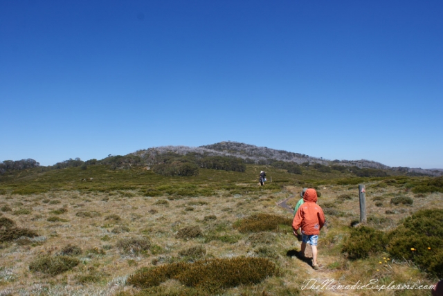 Australia, Victoria, Hight Country,  The Australian Alps - Mt Cope (Bogong High Plains near Falls Creek), , 