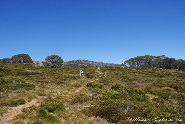 Australia, Victoria, Hight Country,  The Australian Alps - Mt Cope (Bogong High Plains near Falls Creek), , 