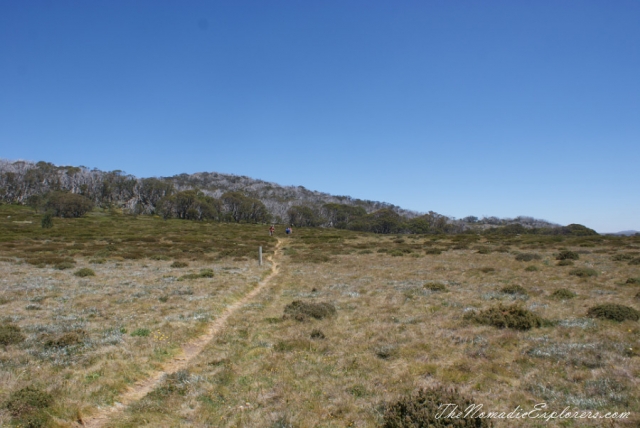 Australia, Victoria, Hight Country,  The Australian Alps - Mt Cope (Bogong High Plains near Falls Creek), , 