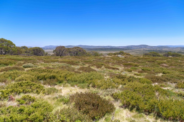 Australia, Victoria, Hight Country,  The Australian Alps - Mt Cope (Bogong High Plains near Falls Creek), , 