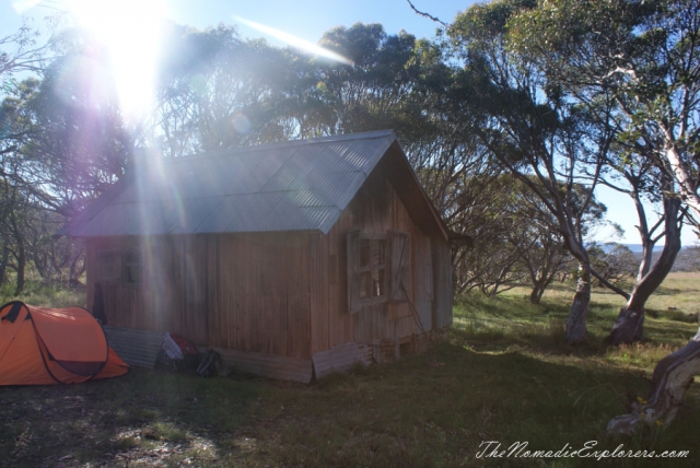 Australia, Victoria, Hight Country, Australia Day 2014: Melbourne - Great Alpine Road - Bogong High Plains Road - Melbourne trip, , 