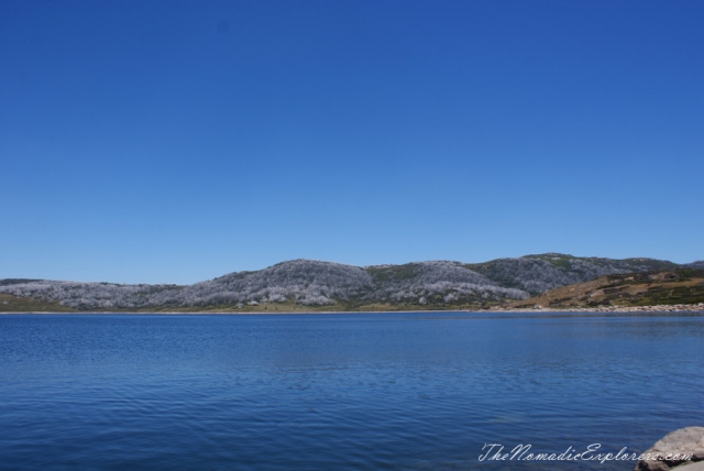 Australia, Victoria, Hight Country, Australia Day 2014: Melbourne - Great Alpine Road - Bogong High Plains Road - Melbourne trip, , 