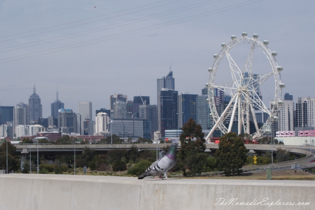 Australia, Victoria, Melbourne, Maribyrnong River Trail, , 