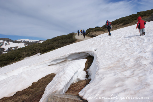 Australia, New South Wales, Snowy Mountains, Горы в Австралии - Гора Костюшко (Mt Kosciuszko - Main Range Walk – Charlotte Pass to Mount Kosciuszko), , 