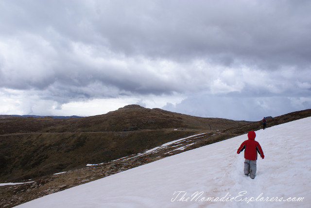 Australia, New South Wales, Snowy Mountains, Горы в Австралии - Гора Костюшко (Mt Kosciuszko - Main Range Walk – Charlotte Pass to Mount Kosciuszko), , 