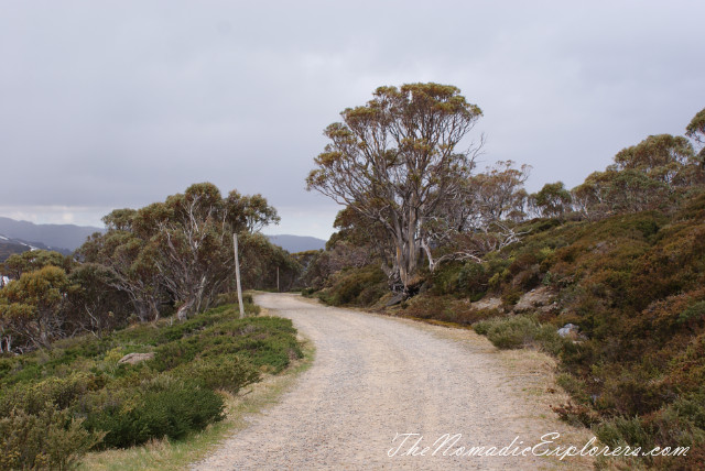 Australia, New South Wales, Snowy Mountains, Горы в Австралии - Гора Костюшко (Mt Kosciuszko - Main Range Walk – Charlotte Pass to Mount Kosciuszko), , 