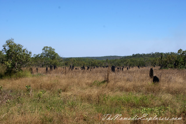 Australia, Northern Territory, Darwin and Surrounds, Litchfield National Park. The Termite Mounds., , 