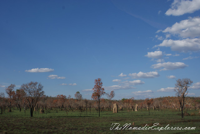 Australia, Northern Territory, Darwin and Surrounds, Litchfield National Park. The Termite Mounds., , 