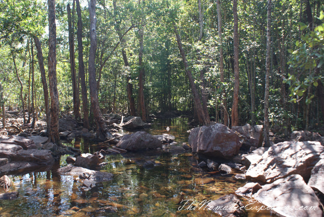 Australia, Northern Territory, Darwin and Surrounds, Litchfield National Park - Buley Rockhole and Florence Falls, , 