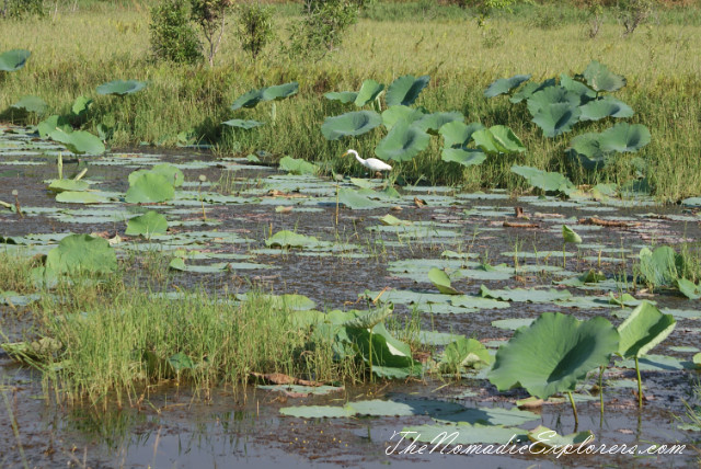 Australia, Northern Territory, Darwin and Surrounds, Places to visit around Darwin: Window on the Wetlands Visitor Centre and Fogg Dam Conservation Reserve, , 