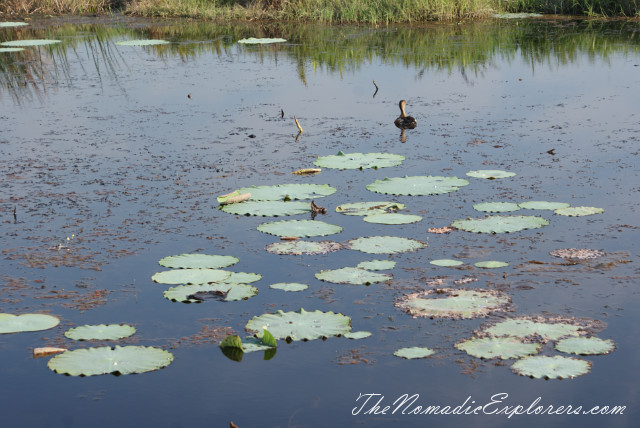 Australia, Northern Territory, Darwin and Surrounds, Places to visit around Darwin: Window on the Wetlands Visitor Centre and Fogg Dam Conservation Reserve, , 