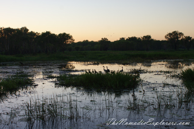 Australia, Northern Territory, Kakadu and Surrounds, Kakadu National Park. Yellow Water Billabong Cruise , , 