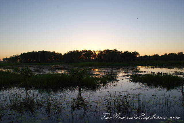 Australia, Northern Territory, Kakadu and Surrounds, Kakadu National Park. Yellow Water Billabong Cruise , , 