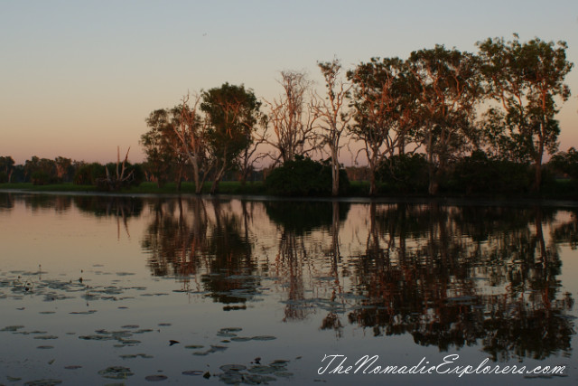 Australia, Northern Territory, Kakadu and Surrounds, Kakadu National Park. Yellow Water Billabong Cruise , , 