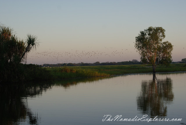 Australia, Northern Territory, Kakadu and Surrounds, Kakadu National Park. Yellow Water Billabong Cruise , , 