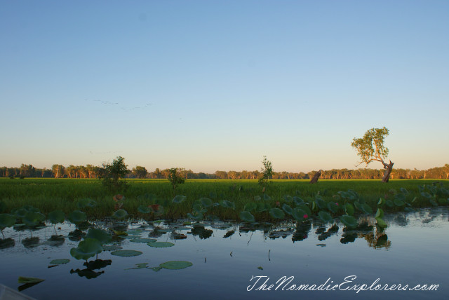 Australia, Northern Territory, Kakadu and Surrounds, Kakadu National Park. Yellow Water Billabong Cruise , , 