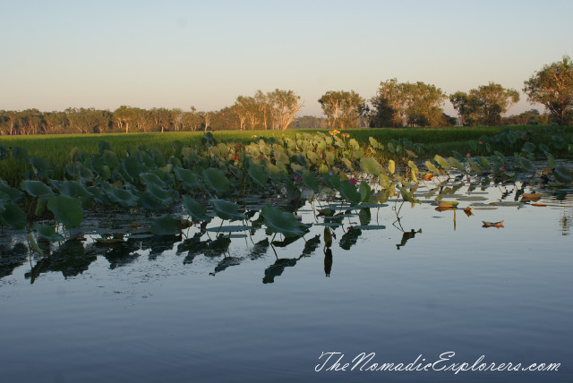 Australia, Northern Territory, Kakadu and Surrounds, Kakadu National Park. Yellow Water Billabong Cruise , , 