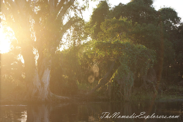 Australia, Northern Territory, Kakadu and Surrounds, Kakadu National Park. Yellow Water Billabong Cruise , , 