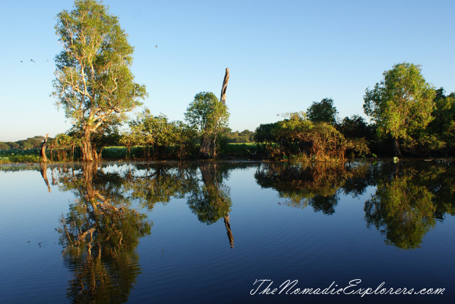 Australia, Northern Territory, Kakadu and Surrounds, Kakadu National Park. Yellow Water Billabong Cruise , , 