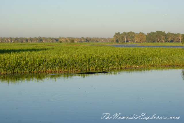 Australia, Northern Territory, Kakadu and Surrounds, Kakadu National Park. Yellow Water Billabong Cruise , , 