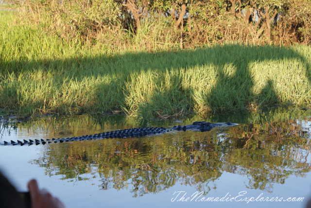 Australia, Northern Territory, Kakadu and Surrounds, Kakadu National Park. Yellow Water Billabong Cruise , , 