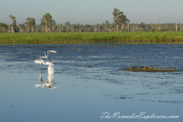 Australia, Northern Territory, Kakadu and Surrounds, Kakadu National Park. Yellow Water Billabong Cruise , , 