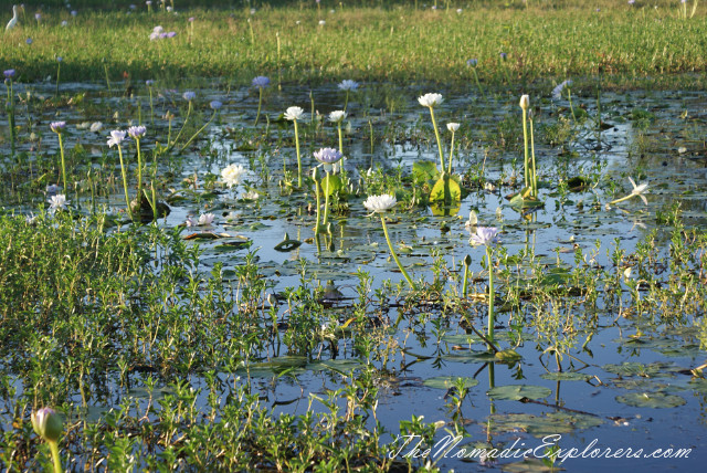 Australia, Northern Territory, Kakadu and Surrounds, Kakadu National Park. Yellow Water Billabong Cruise , , 