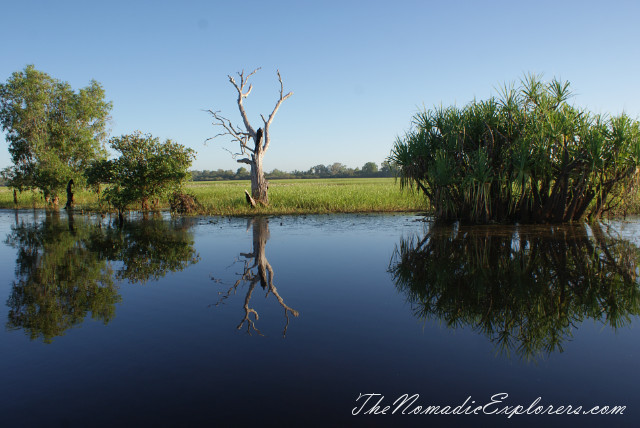 Australia, Northern Territory, Kakadu and Surrounds, Kakadu National Park. Yellow Water Billabong Cruise , , 