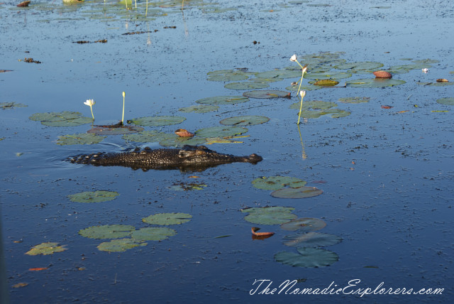 Australia, Northern Territory, Kakadu and Surrounds, Kakadu National Park. Yellow Water Billabong Cruise , , 