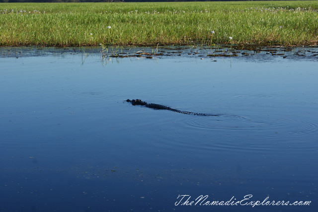 Australia, Northern Territory, Kakadu and Surrounds, Kakadu National Park. Yellow Water Billabong Cruise , , 