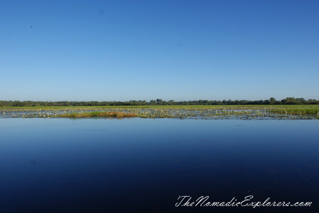 Australia, Northern Territory, Kakadu and Surrounds, Kakadu National Park. Yellow Water Billabong Cruise , , 