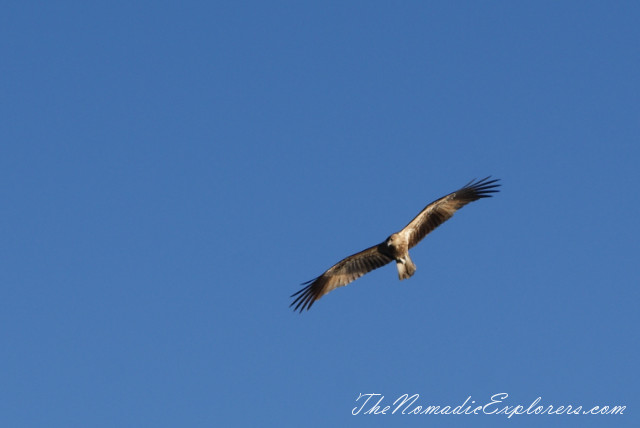 Australia, Northern Territory, Kakadu and Surrounds, Kakadu National Park. Yellow Water Billabong Cruise , , 