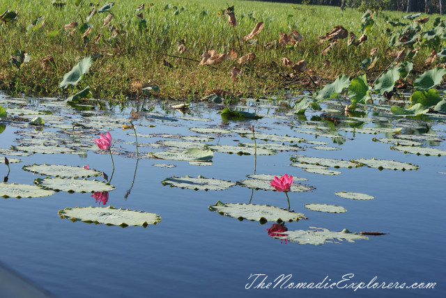 Australia, Northern Territory, Kakadu and Surrounds, Kakadu National Park. Yellow Water Billabong Cruise , , 