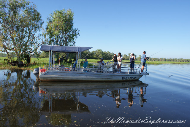 Australia, Northern Territory, Kakadu and Surrounds, Kakadu National Park. Yellow Water Billabong Cruise , , 