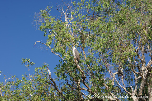 Australia, Northern Territory, Kakadu and Surrounds, Kakadu National Park. Yellow Water Billabong Cruise , , 