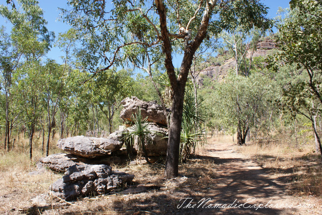 Australia, Northern Territory, Kakadu and Surrounds, Kakadu National Park. Aboriginal Rock Paintings at Nanguluwur and Nourlangie/Anbangbang Gallery, , 