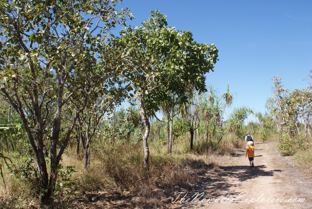 Australia, Northern Territory, Kakadu and Surrounds, Kakadu National Park. Mamukala Wetlands, , 