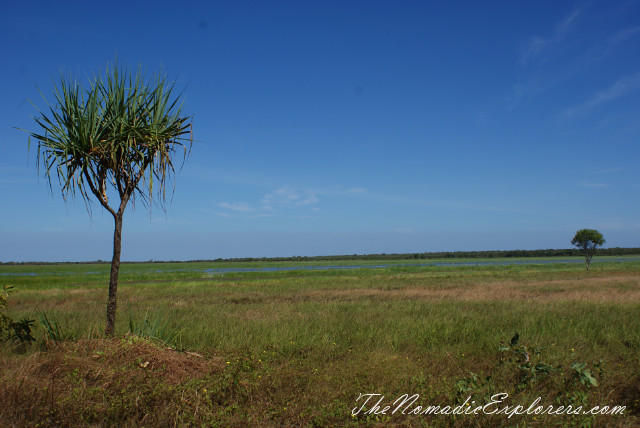 Australia, Northern Territory, Kakadu and Surrounds, Kakadu National Park. Mamukala Wetlands, , 