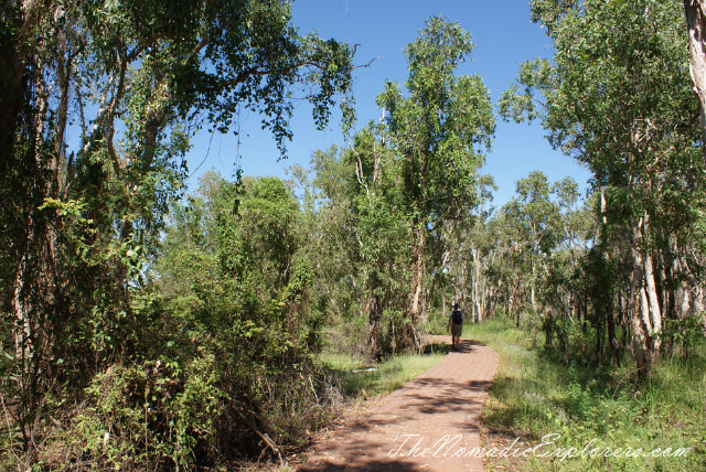 Australia, Northern Territory, Kakadu and Surrounds, Kakadu National Park. Mamukala Wetlands, , 