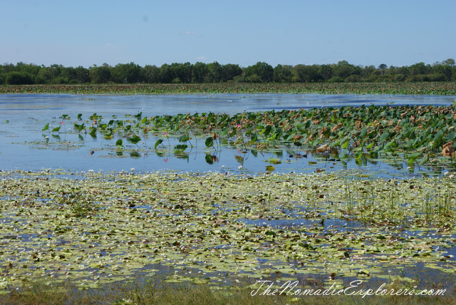 Australia, Northern Territory, Kakadu and Surrounds, Kakadu National Park. Mamukala Wetlands, , 