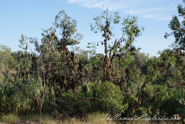 Australia, Northern Territory, Katherine and Surrounds, Nitmiluk National Park. Katherine Gorge, Baruwei Lookout, , 